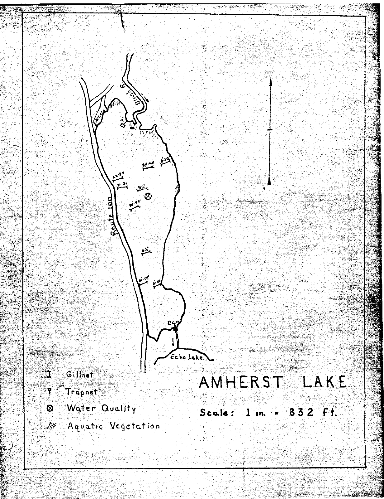 Amherst Lake depth chart (bathymetric map)