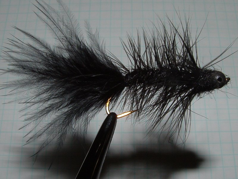 Black Woolly Bugger fly pattern