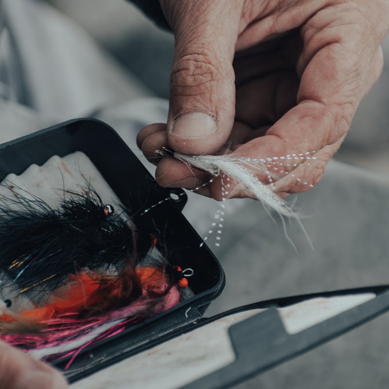 Chubby Chernobyl fly pattern