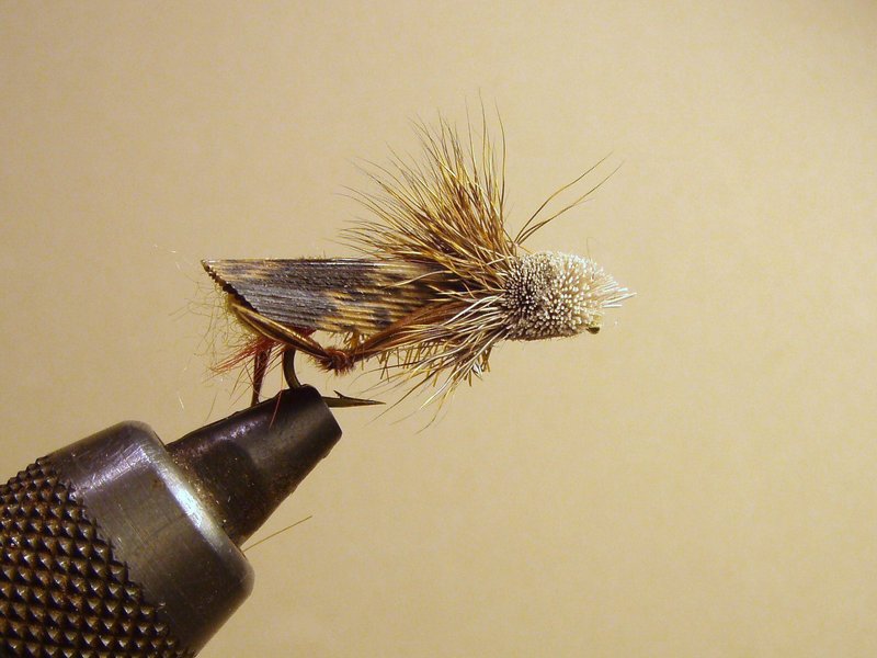 Dave's Hopper fly pattern