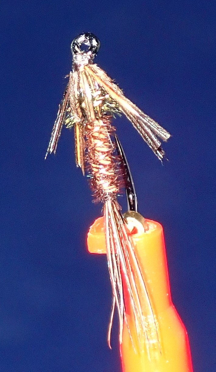 Pheasant Tail Nymph fly pattern