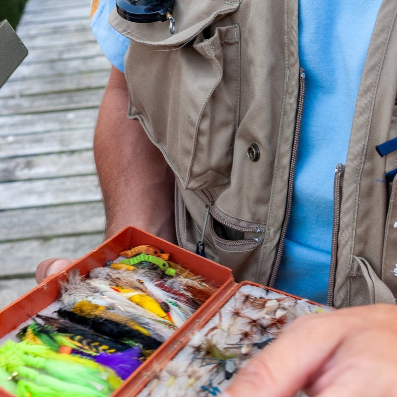 Purple Haze fly pattern