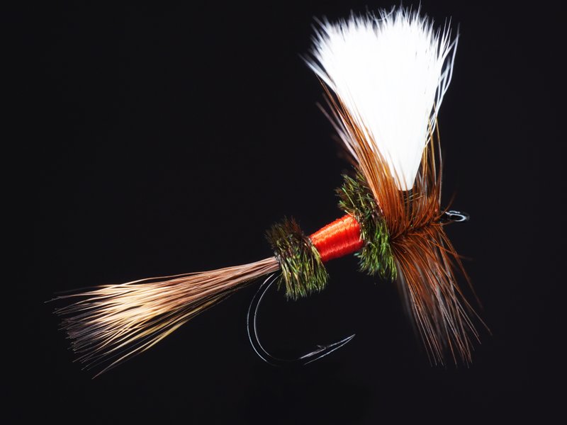 Royal Wulff fly pattern