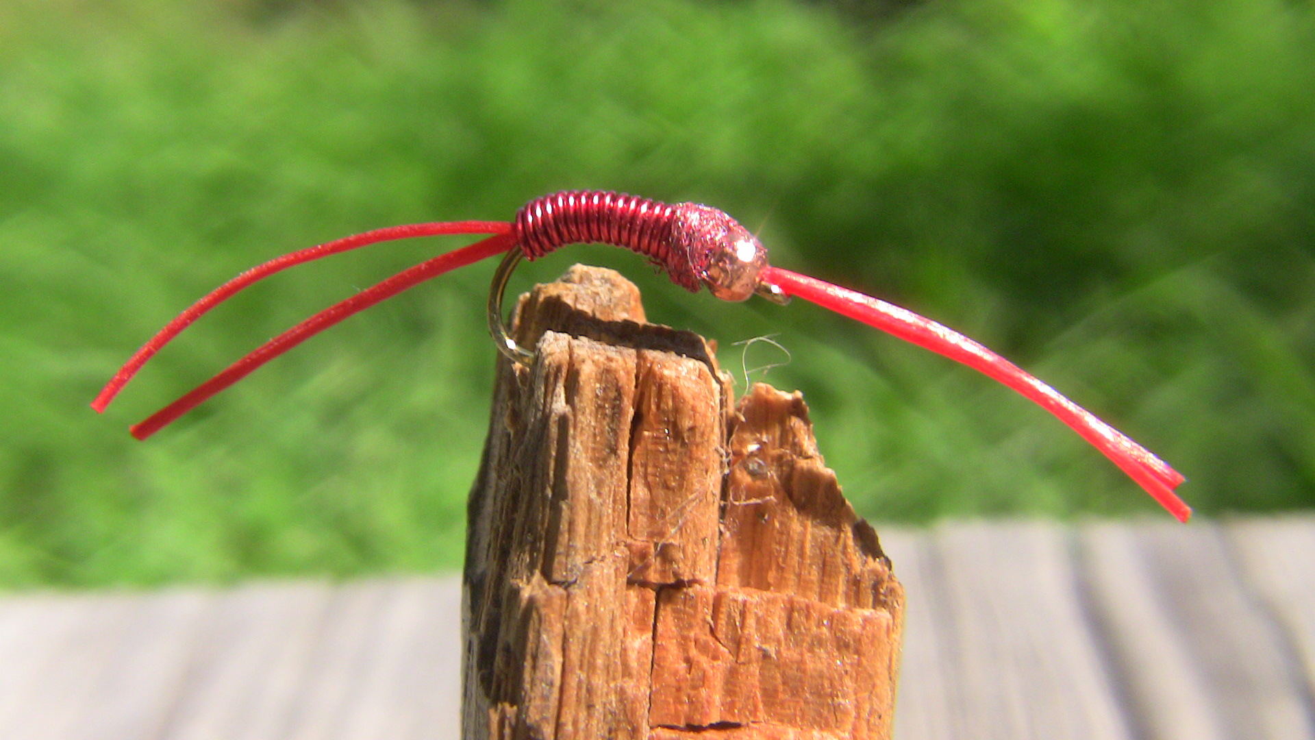 San Juan Worm fly pattern