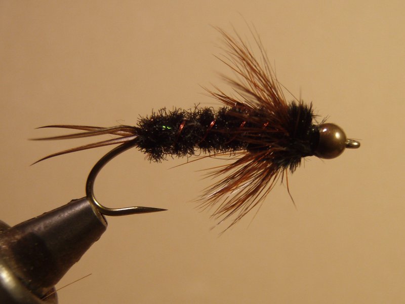 Stonefly Nymph fly pattern