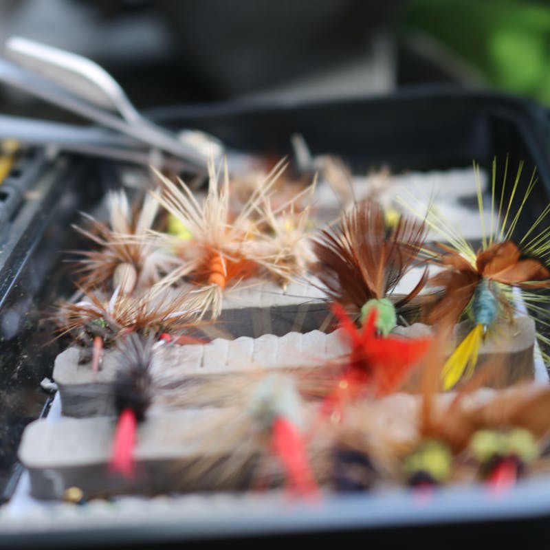 Trico Spinner fly pattern