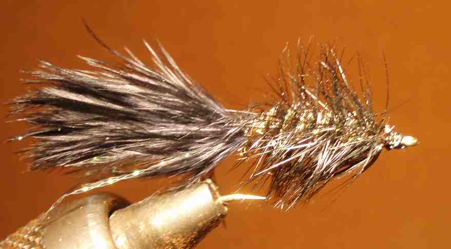 Woolly Bugger fly pattern