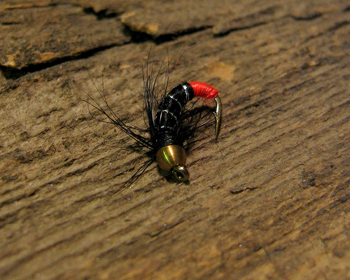 Zebra Midge fly pattern