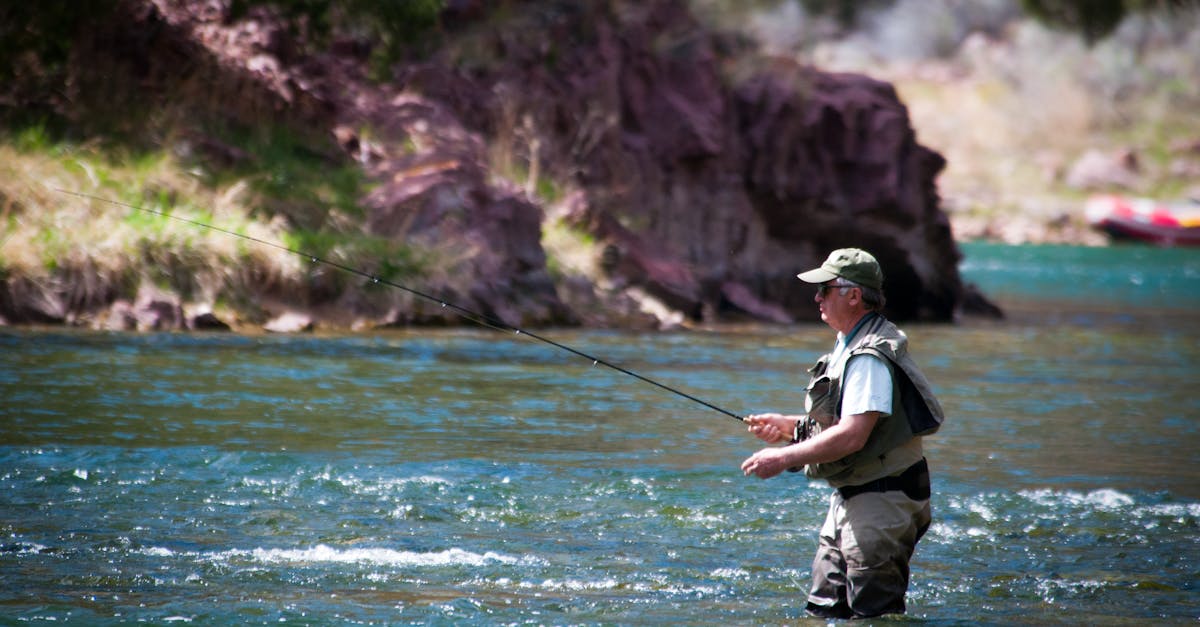 Arkansas River - fly fishing in Upper Arkansas Valley / Central Mountains