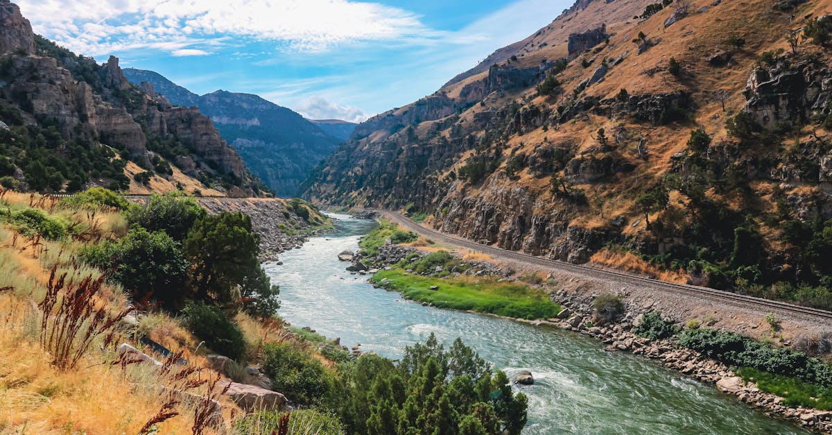 Bighorn River (Wyoming) - fly fishing in North Central Wyoming