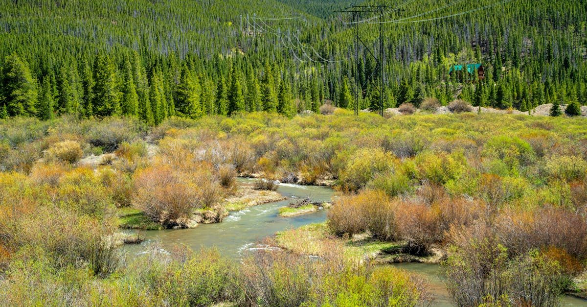 Chevelon Creek - fly fishing in Central Arizona / Mogollon Rim