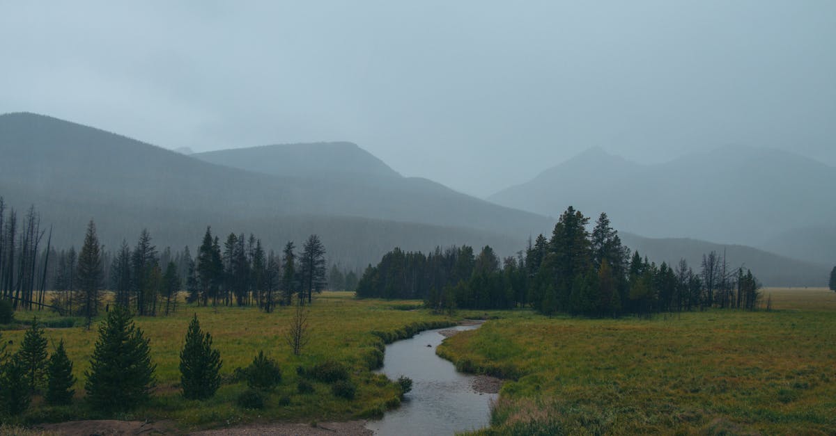 Colorado River - fly fishing in Grand County / Northern Mountains