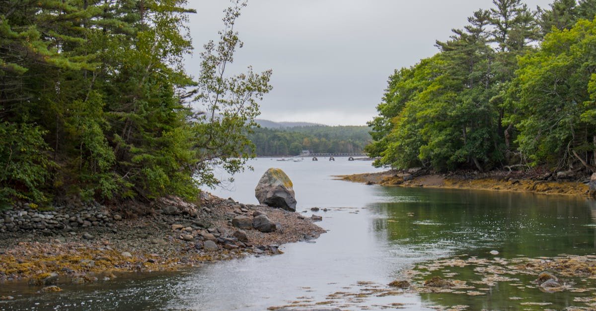 Crooked River - fly fishing in Southern Maine / Cumberland and Oxford Counties