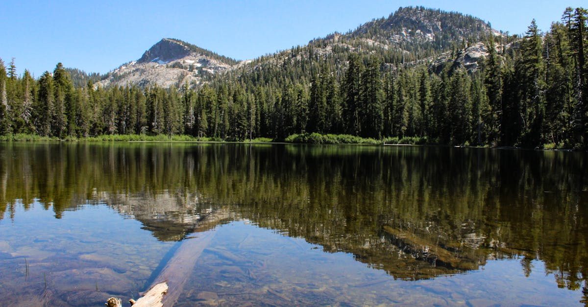 east fork carson river nv