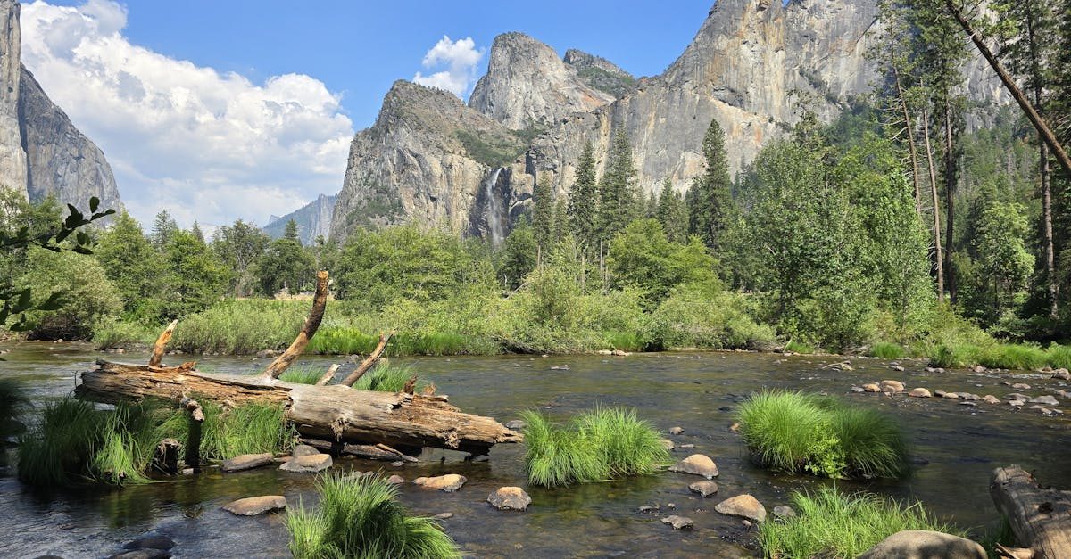 east walker river nv