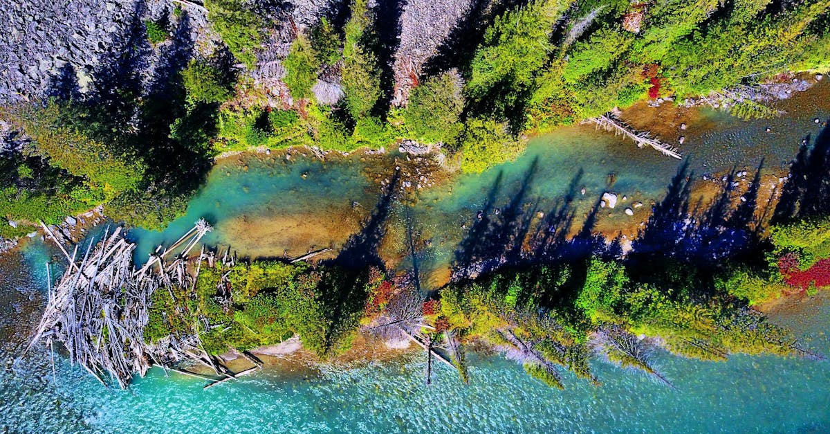 Gallatin River - fly fishing in Southwest Montana