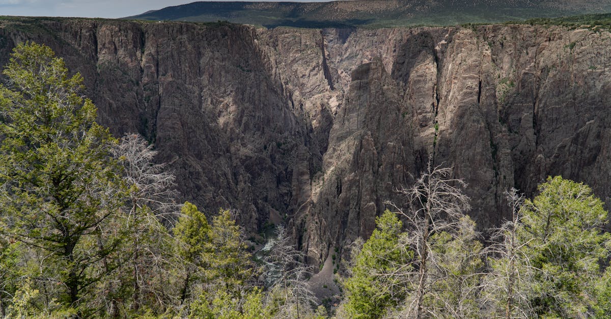 Gunnison River - fly fishing in Western Slope / Black Canyon Country