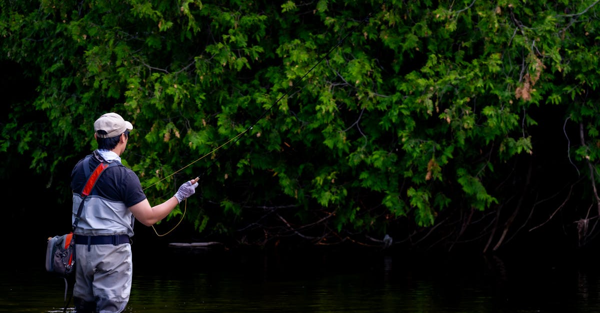 Henry's Fork - fly fishing in Eastern Idaho