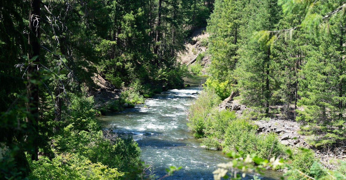 McKenzie River - fly fishing in Willamette Valley / Cascades