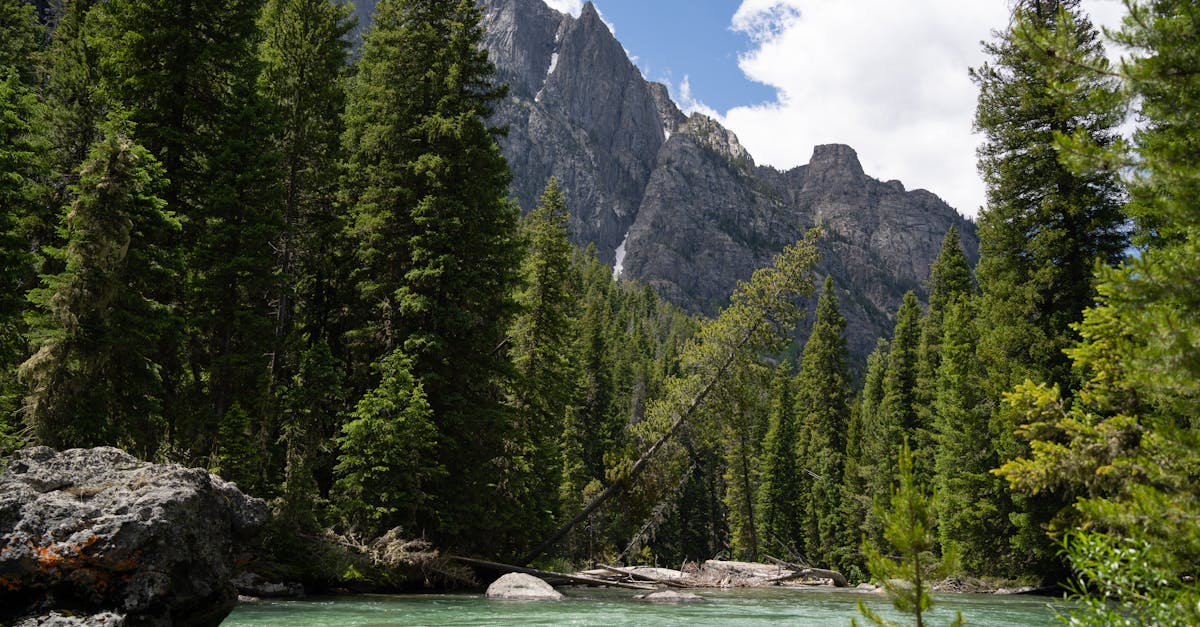 Methow River - fly fishing in North Central Washington, Okanogan County
