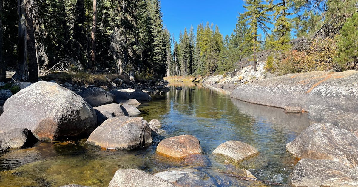Metolius River - fly fishing in Central Oregon (Cascades)