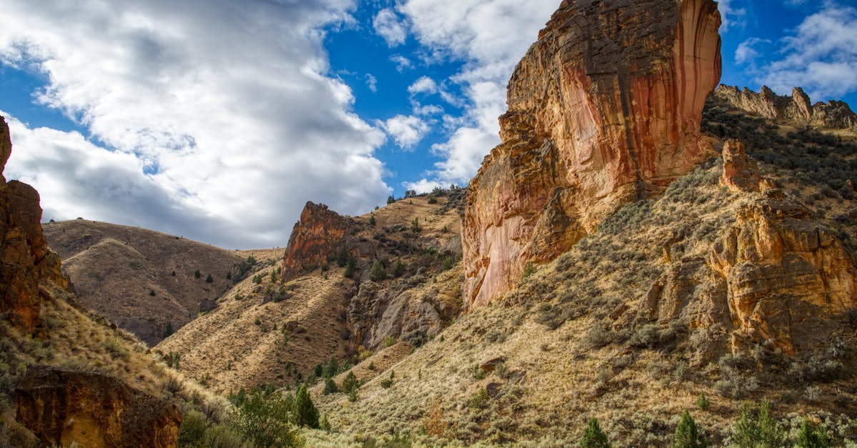 Owyhee River - fly fishing in Southeastern Oregon
