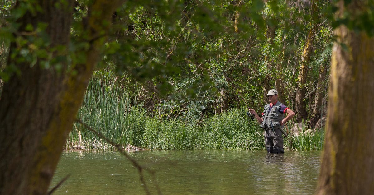 Silver Creek - fly fishing in Central Idaho / Sun Valley