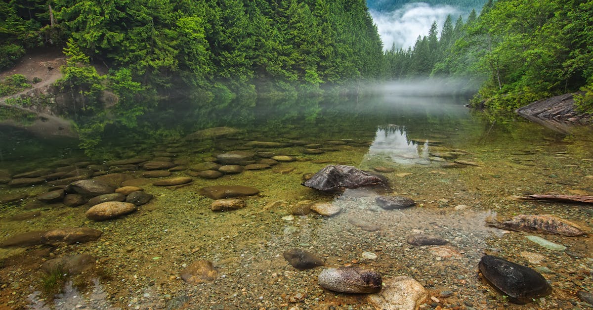 Skagit River - fly fishing in Northwest Washington, Skagit County
