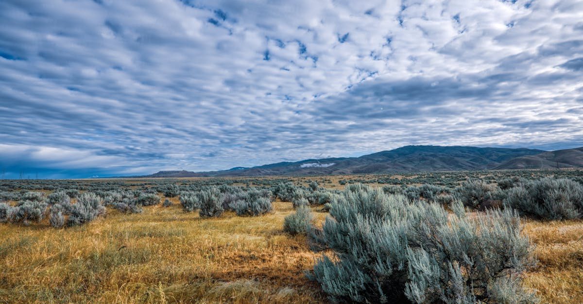 south fork reservoir nv