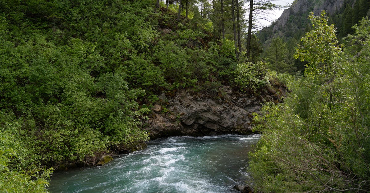 South Fork Snake River - fly fishing in Eastern Idaho