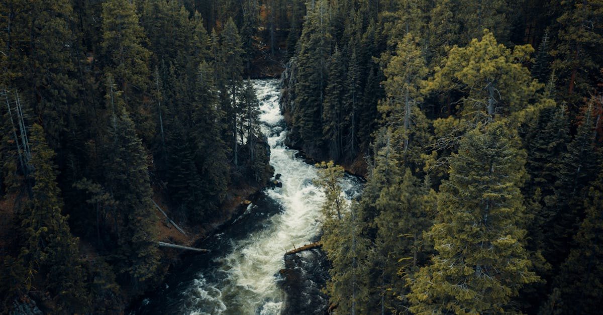 west branch penobscot