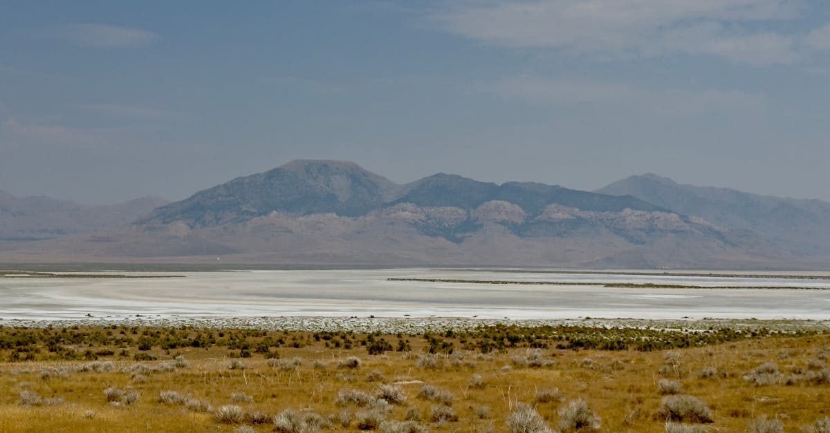 wild horse reservoir nv
