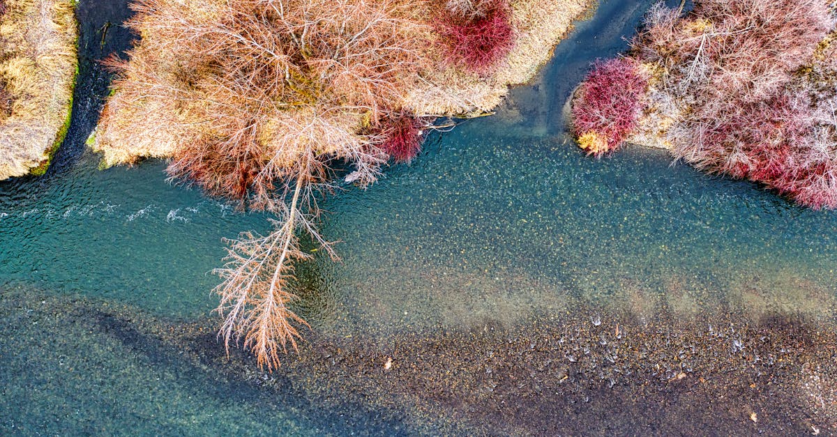 Yakima River - fly fishing in Central Washington