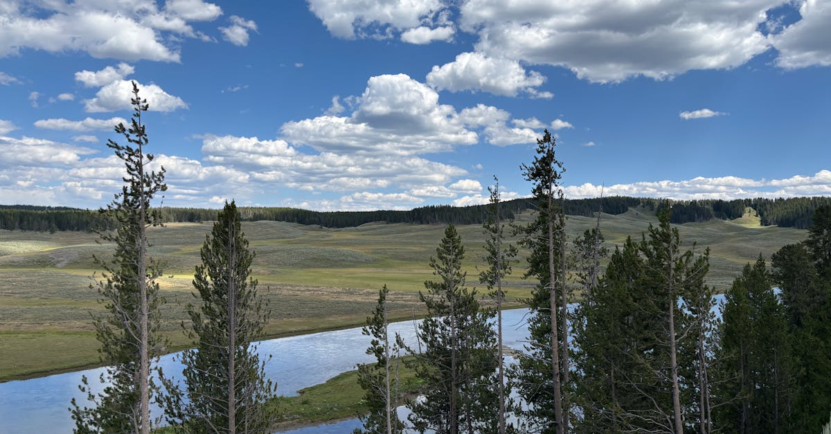 Yellowstone River - fly fishing in South Central Montana